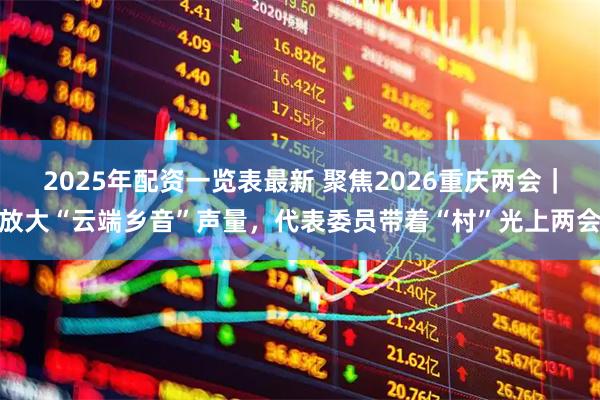 2025年配资一览表最新 聚焦2026重庆两会｜放大“云端乡音”声量，代表委员带着“村”光上两会