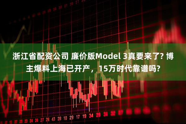 浙江省配资公司 廉价版Model 3真要来了? 博主爆料上海已开产，15万时代靠谱吗?